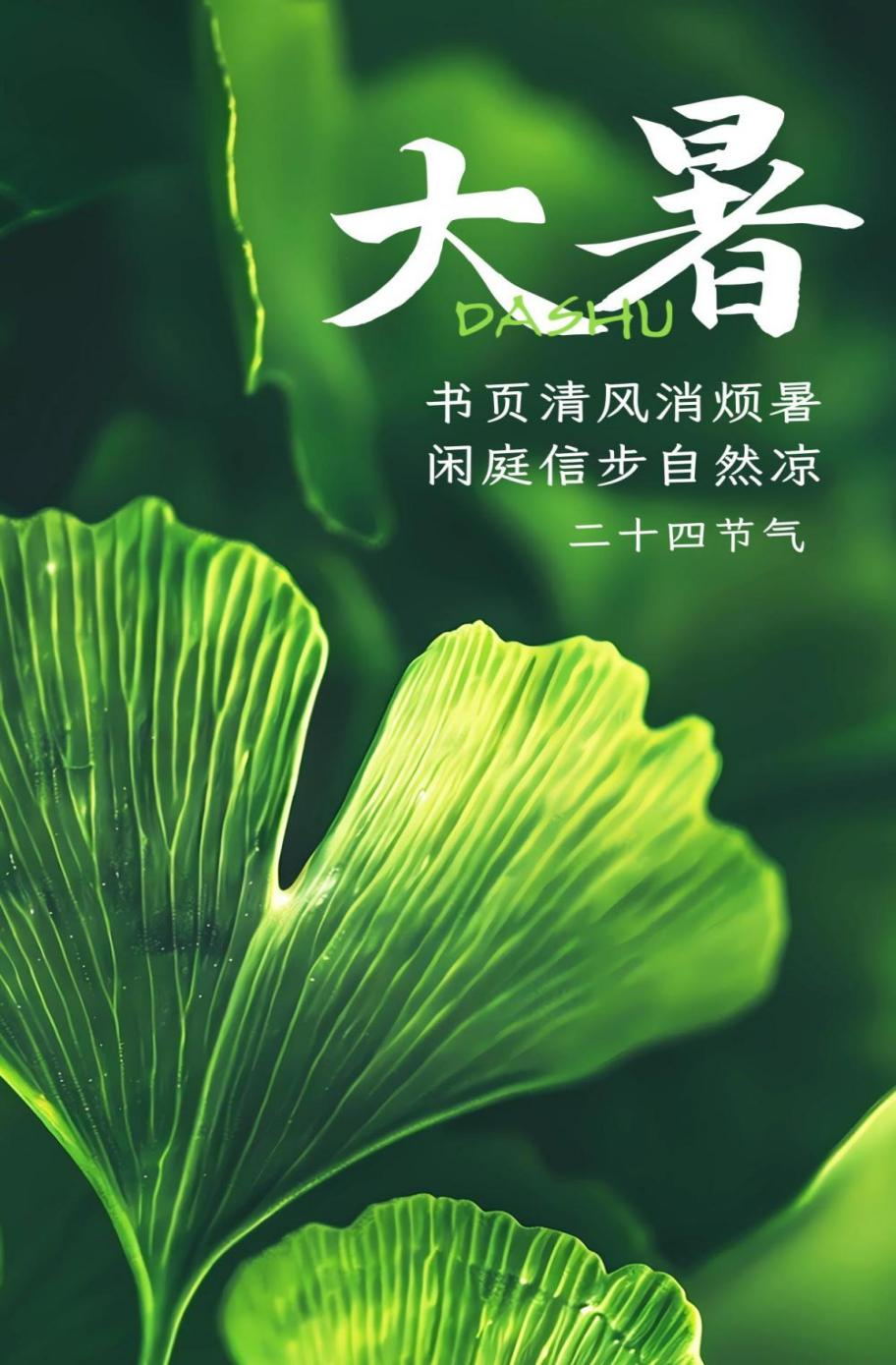 图片1_看图王 图片1_看图王